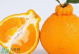 丑八怪水果多少錢一斤？不知火雜柑一斤多少錢