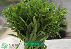 救心菜有毒嗎？救心菜怎么吃沒毒？