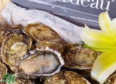 吃生蠔為什么睡不著?吃生蠔睡不著怎么辦? 吃生蠔為什么睡不著?吃生蠔睡不著怎么辦?