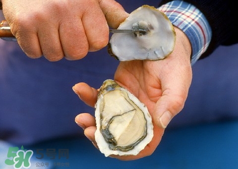 吃生蠔為什么睡不著?吃生蠔睡不著怎么辦? 吃生蠔為什么睡不著?吃生蠔睡不著怎么辦?