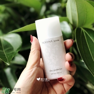 蘇菲娜白蕾絲多少錢？蘇菲娜白蕾絲日本價格