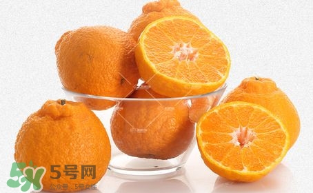 丑八怪水果多少錢一斤？不知火雜柑一斤多少錢