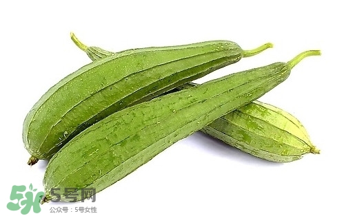 孕婦能吃絲瓜嗎？孕婦能不能吃絲瓜