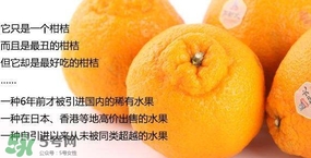 丑八怪水果多少錢一斤？不知火雜柑一斤多少錢