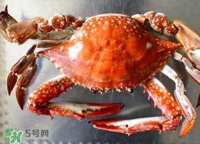 六月份有螃蟹嗎？六月份吃什么螃蟹？