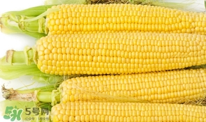 妊娠糖尿病可以吃玉米嗎？妊娠糖尿病能吃玉米嗎