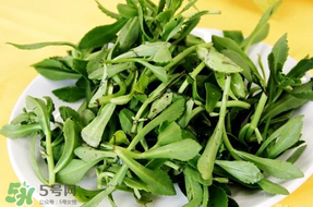 養(yǎng)心菜能生吃嗎？養(yǎng)心菜怎么吃？