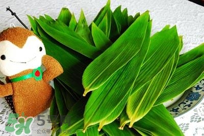 包粽子的葉子叫什么？包粽子的葉子怎么處理？