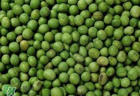 青豆可以打豆?jié){嗎？青豆能做豆?jié){嗎？