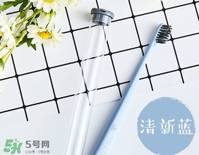 amortals爾木萄牙刷怎么樣？amortals爾木萄牙刷多少錢？