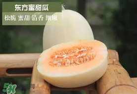 甜瓜可以帶上飛機嗎？坐飛機可以帶香瓜嗎？