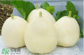 甜瓜可以帶上飛機嗎？坐飛機可以帶香瓜嗎？