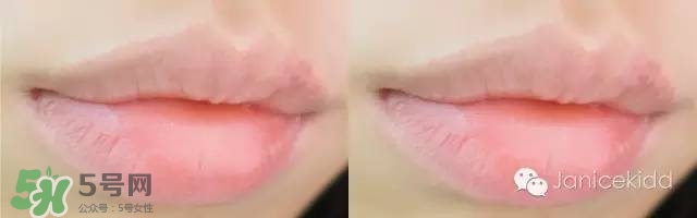 紀梵希禁忌之吻16和嬌蘭小黑裙007區(qū)別對比