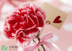 母親節(jié)要送婆婆禮物嗎？母親節(jié)要給婆婆買禮物嗎？