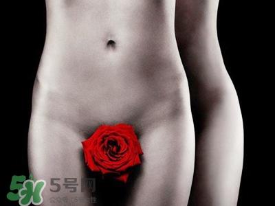 什么叫玉蛋功？玉蛋功教學(xué)的教學(xué)視頻