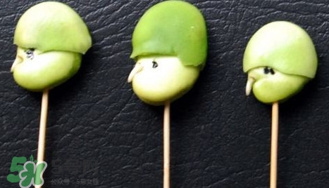 青蠶豆怎么保存？剝好的蠶豆怎么保存