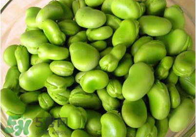 青蠶豆怎么保存？剝好的蠶豆怎么保存