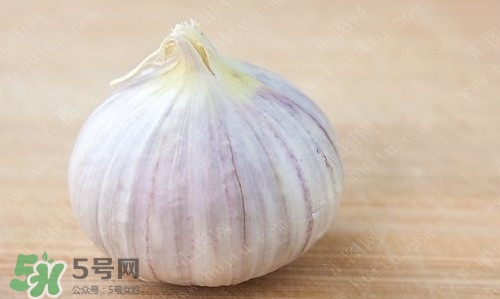 蒜頭能放冰箱嗎？蒜頭能放多久？