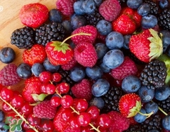 來月經可以吃樹莓嗎？月經期間吃樹莓好嗎？