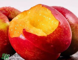 油桃是熱性還是涼性？油桃是寒性水果嗎？