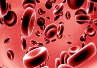 尸血會感染艾滋嗎？尸血可以治療血友病嗎？