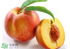 桃子可以放冰箱嗎？桃子能放冰箱保鮮嗎？