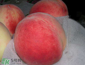 ?桃子發(fā)霉了還可以吃嗎？吃了發(fā)霉的桃子怎么辦？