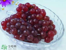 五月份有葡萄嗎？五月份的葡萄可以吃嗎？