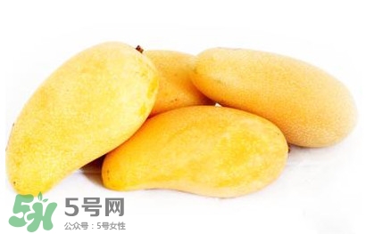 吃芒果上火嗎？吃芒果上火還是降火