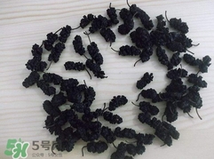 桑葚干怎么制作?桑葚干的制作方法 桑葚干怎么制作?桑葚干的制作方法