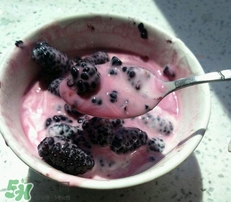 桑葚干怎么制作?桑葚干的制作方法 桑葚干怎么制作?桑葚干的制作方法