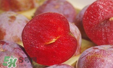 三華李幾月成熟？三華李有什么作用