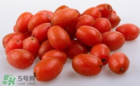 羊奶果可以連皮吃嗎？羊奶果的皮可以吃嗎