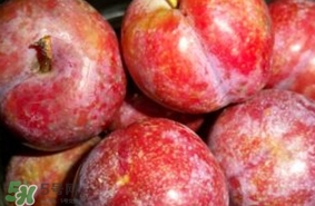 三華李吃多了會怎樣？吃多了三華李會不好嗎