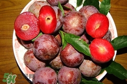 三華李吃多了會怎樣？吃多了三華李會不好嗎