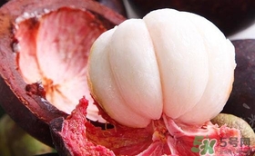 山竹是植物還是水果？山竹是水果皇后嗎？