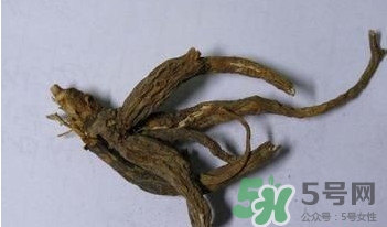 土瓜根是什么？土瓜根粉哪里有賣的？