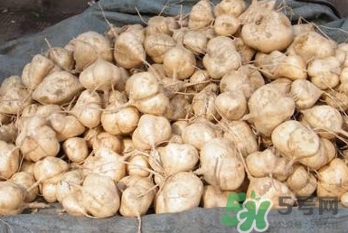 土瓜是涼性還是熱性？土瓜是寒性還是熱性？