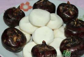 荸薺可以放冰箱嗎？荸薺可以冷凍嗎