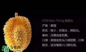 金枕頭和貓山王哪個(gè)好？金枕頭和貓山王的區(qū)別