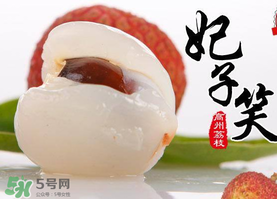 荔枝為什么叫妃子笑？荔枝和妃子笑的區(qū)別