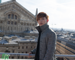 劉洲成被曝出軌 劉洲成出軌對象是誰？