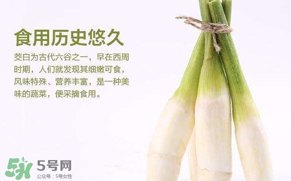 茭白是發(fā)物嗎？茭白是不是發(fā)物