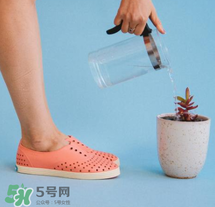 native鞋中文名稱是什么？native鞋中文怎么翻譯？