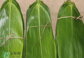 干粽葉要煮嗎？干粽葉到底是泡好還是煮好？