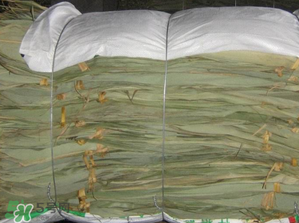 干粽葉怎么保存？干粽葉可以放冰箱嗎？