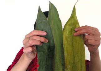 干粽葉怎么煮？干粽葉煮多久？