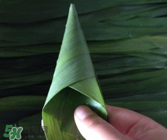 粽子葉能冷凍嗎？粽子葉放冰箱冷藏還是冷凍？