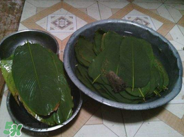 粽子葉怎么洗？粽葉怎么洗才干凈？