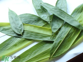 如何挑選粽葉？粽子葉怎么選？